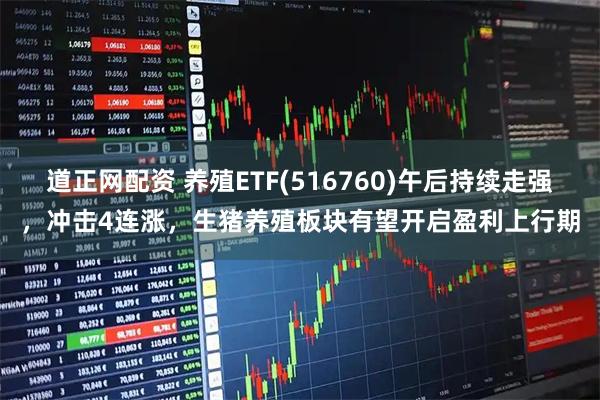 道正网配资 养殖ETF(516760)午后持续走强，冲击4连涨，生猪养殖板块有望开启盈利上行期