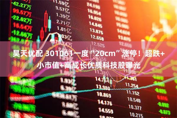 昊天优配 301061一度“20cm”涨停！超跌+小市值+高成长优质科技股曝光