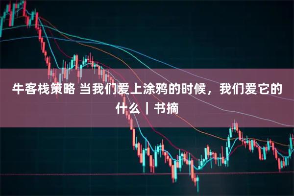 牛客栈策略 当我们爱上涂鸦的时候，我们爱它的什么｜书摘