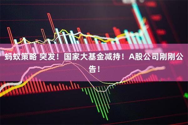 蚂蚁策略 突发！国家大基金减持！A股公司刚刚公告！
