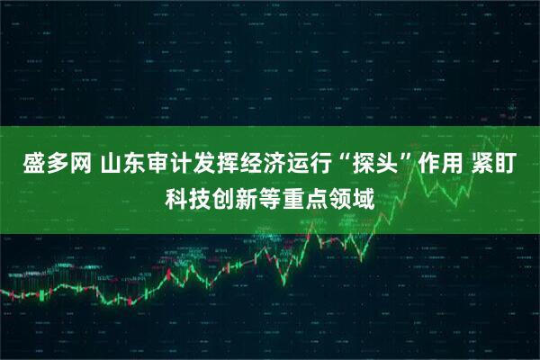 盛多网 山东审计发挥经济运行“探头”作用 紧盯科技创新等重点领域