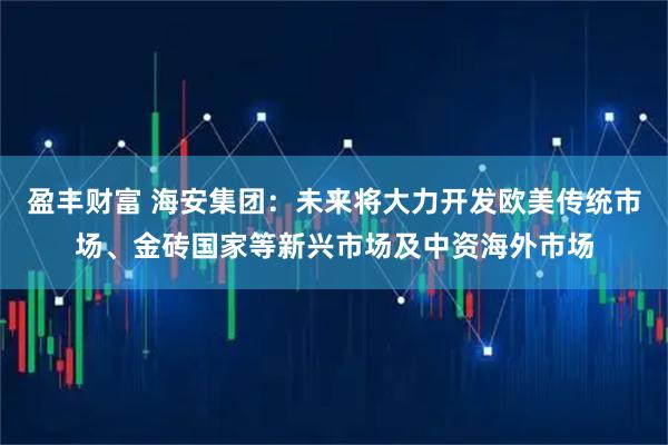 盈丰财富 海安集团：未来将大力开发欧美传统市场、金砖国家等新兴市场及中资海外市场